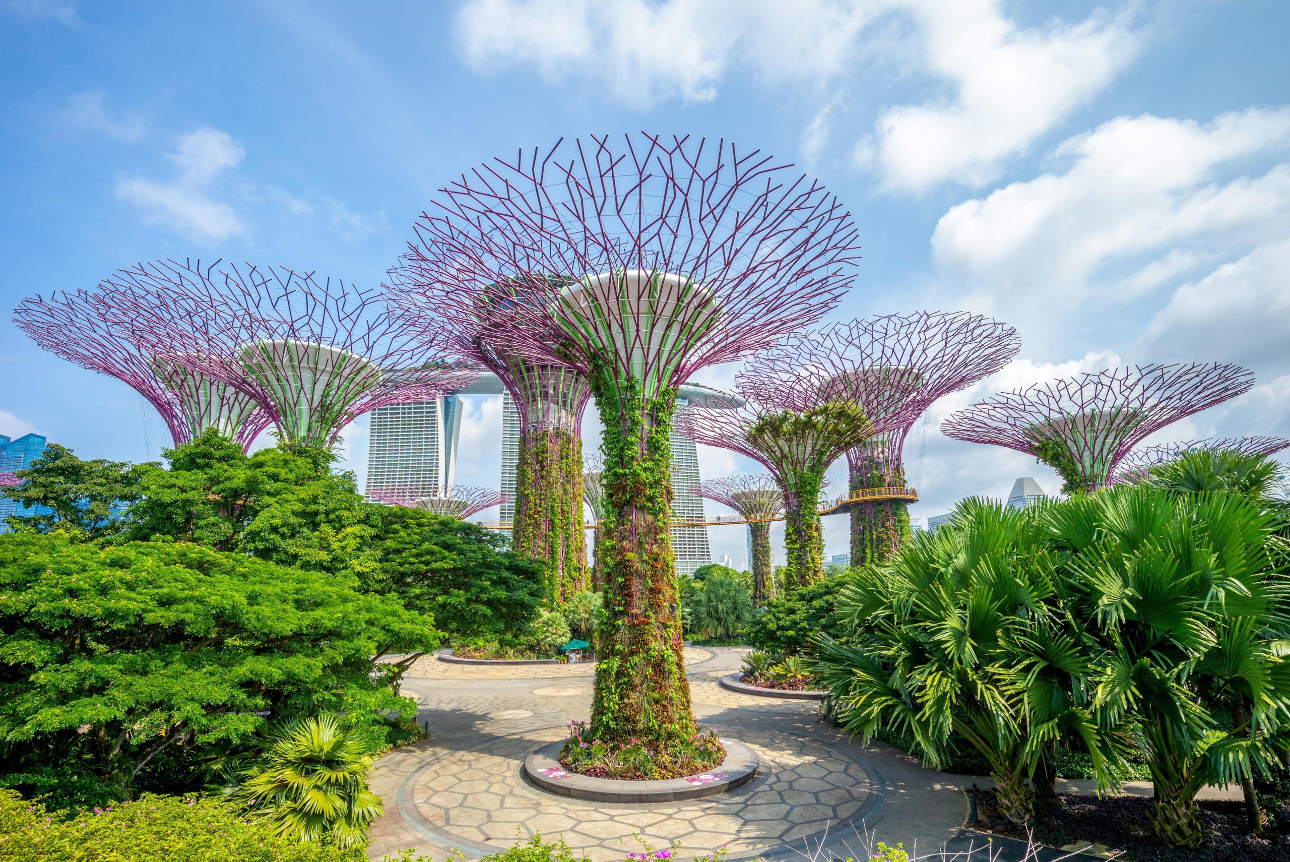 Tour Hà Nội – Singapore – Malaysia-Atoz tour