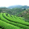 Trà Thiết Quan Âm atoz tour