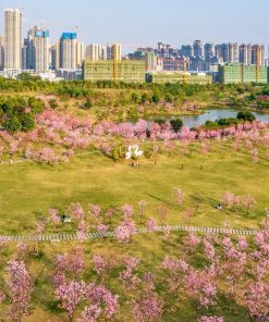 Tour Hà Nội – Nam Ninh – Quế Lâm – Dương Sóc 4N3Đ ATOZ TOUR