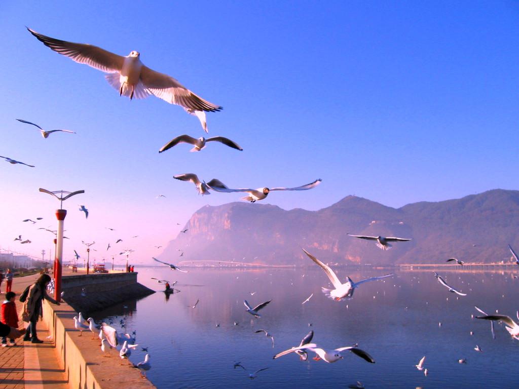 Hồ Điền Trì ATOZ TOUR