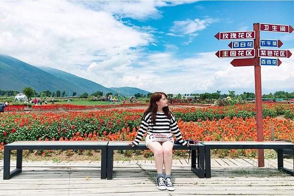 Trang trại Hoa Thái Hòa Thành ATOZ TOUR