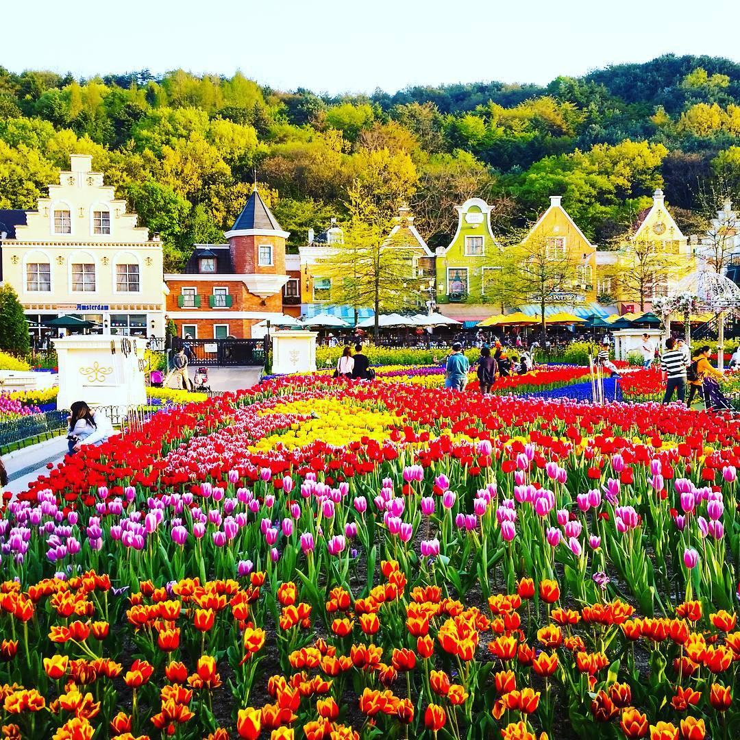 Công viên Everland atoz tour