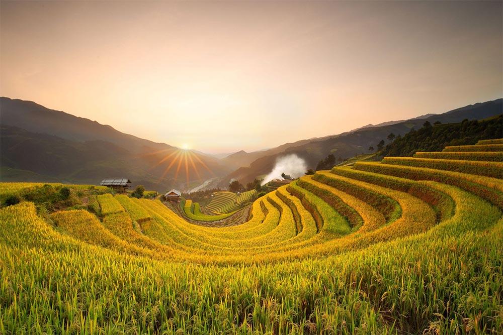 Ruộng bậc thang Mù Cang Chải atoz tour