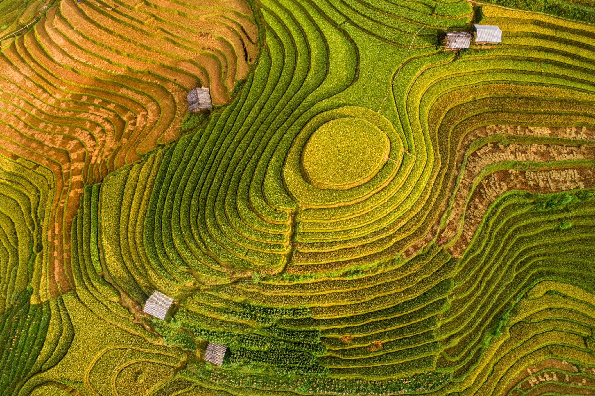 Mù Cang Chải 2 Ngày 1 đêm atoz tour