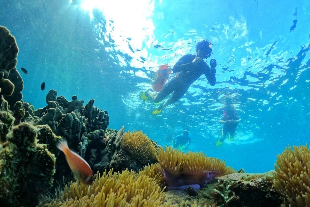 Câu cá – Lặn ngắm san hô atoz tour